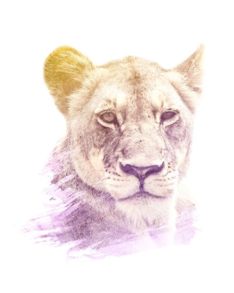 Picture of 0008 ANIMAL WATERCOLOR