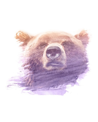 Picture of 0002 ANIMAL WATERCOLOR