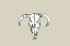 Picture of ANIMAL SKULL NO2