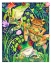 Picture of RAIN FOREST FROGS
