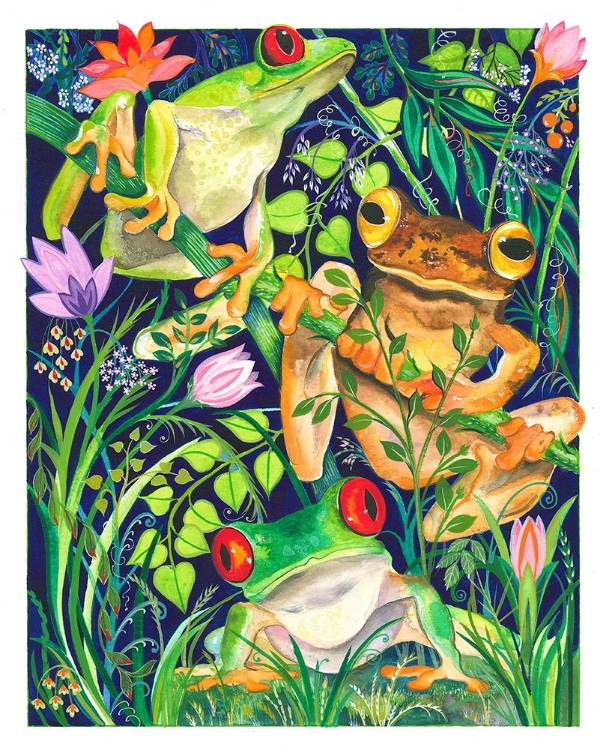 Picture of RAIN FOREST FROGS