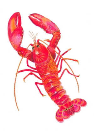 Picture of PATTERNED LOBSTER