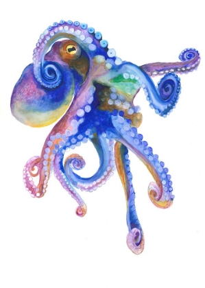 Picture of BLUE MARINE OCTOPUSS