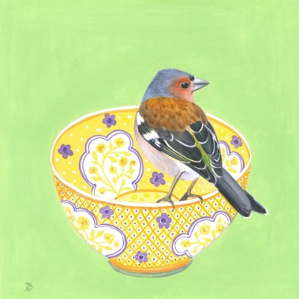 Picture of CHAFFINCH ON DECORATIVE BOWL