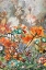 Picture of CHARM OF HUMMINGBIRDS (COLLECTIVE NOUNS)