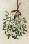 Picture of MISTLETOE BOUQUET WITH BOW