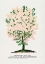 Picture of PURPLE FRINGE TREE LITHOGRAPH