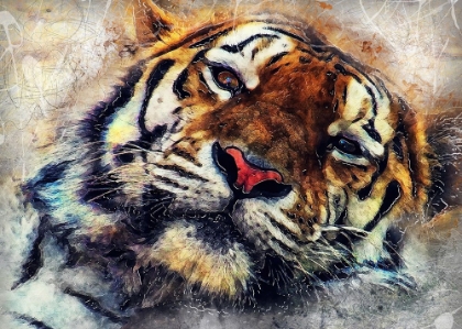 Picture of TIGER ANIMAL 1