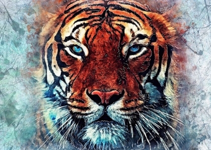 Picture of TIGER ANIMAL 2