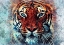 Picture of TIGER ANIMAL 2