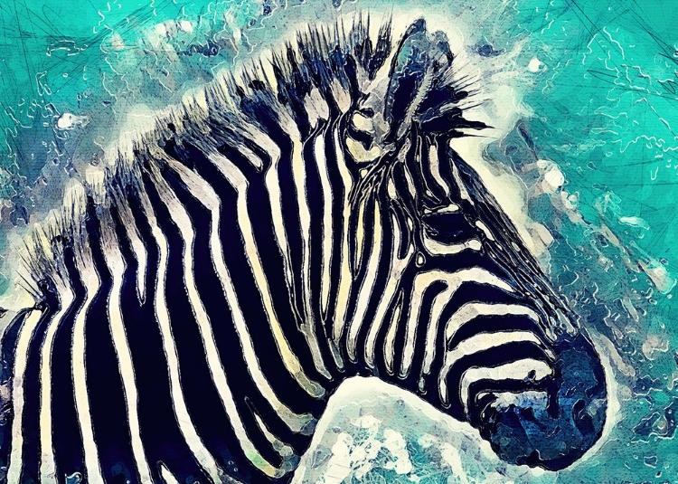 Picture of ZEBRA ANIMAL 1