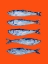 Picture of SARDINES ON ORANGE