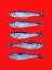 Picture of SARDINES BERRY RED