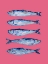 Picture of SARDINES ON PINK