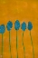 Picture of COLOURS OF OZ