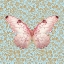 Picture of BUTTERFLY #10