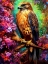 Picture of FALCON BIRD ANIMAL