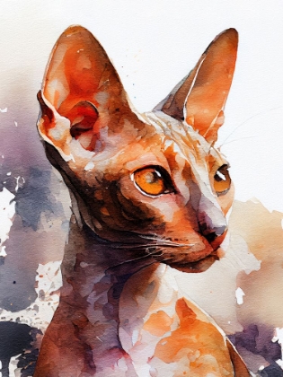 Picture of CAT WATERCOLOR PAINTING ANIMAL