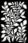 Picture of WHITE SNAKE PLANT