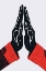 Picture of HIGH FIVE