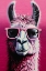 Picture of PINK LAMA