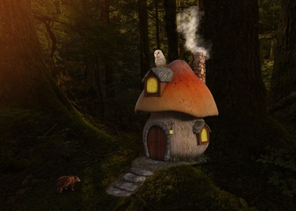 Picture of MUSHROOM HOUSE