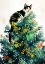 Picture of CATAND#039;S LIFE 12