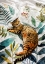 Picture of CATAND#039;S LIFE 2