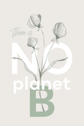 Picture of THERE IS NO PLANET B