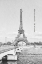 Picture of BONJOUR PARIS