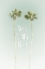 Picture of GOOD VIBES ONLY | IDYLLIC PALM TREES