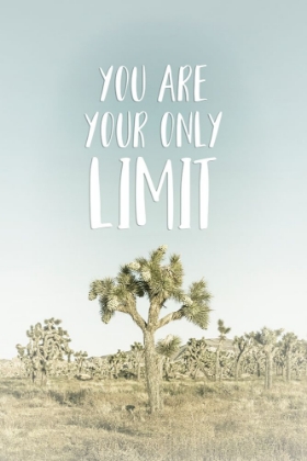 Picture of YOU ARE YOUR ONLY LIMIT | DESERT IMPRESSION