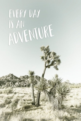 Picture of EVERY DAY IS AN ADVENTURE | DESERT IMPRESSION