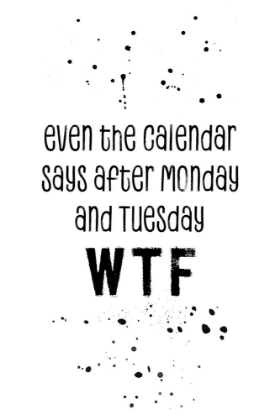 Picture of EVEN THE CALENDAR SAYS WTF