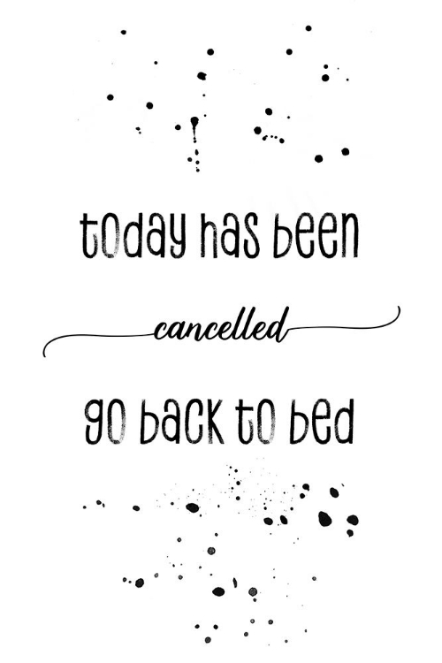 Picture of TODAY HAS BEEN CANCELLED GO BACK TO BED