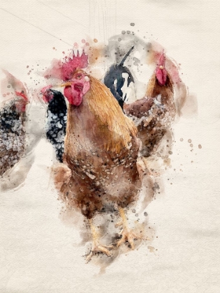 Picture of ABSTRACT ROOSTER WATERCOLOR ART