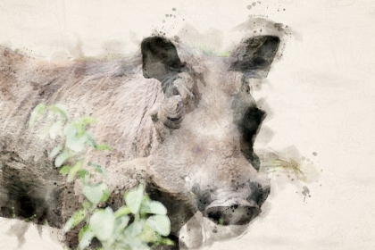 Picture of ABSTRACT AFRICAN WARTHOG WATERCOLOR ART