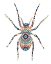 Picture of 1 ANIMAL PATTERNS 24