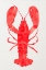 Picture of LOBSTER GRACE 60 X 90