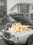 Picture of POP THE HOOD - POPCORN CAR