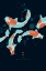 Picture of KOI CARPS