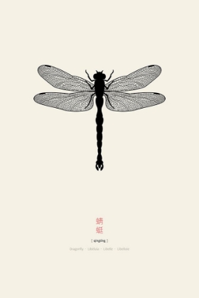 Picture of DRAGONFLY