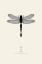 Picture of DRAGONFLY
