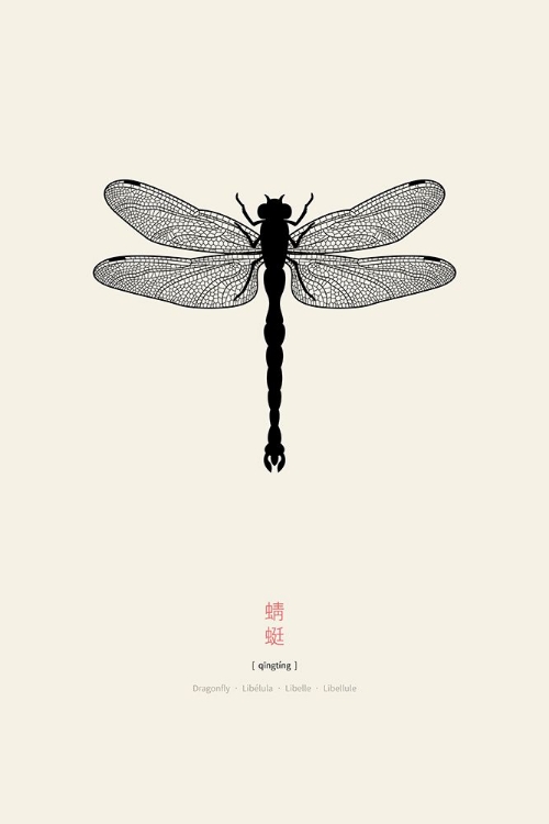 Picture of DRAGONFLY