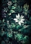 Picture of FLORA MEADOW (36)