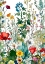 Picture of FLORA MEADOW (73)