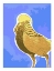 Picture of GOLD PHEASANT