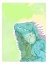 Picture of IGUANA