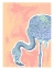 Picture of FLAMINGO