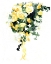 Picture of BARBARAS BOUQUET